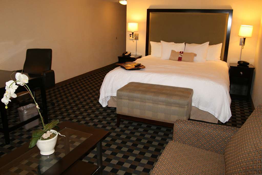 ホテル ハンプトン イン&スイーツ ヒューストン - ブッシュ インターコンチネンタル エアポート 部屋 写真